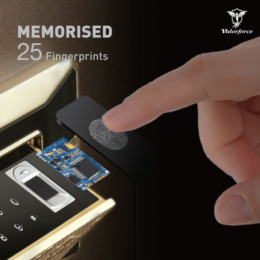 stylish biometric safe box
hidden compartment luxury safe
German lock secure safe
modern luxury home safe
premium security safe for watches