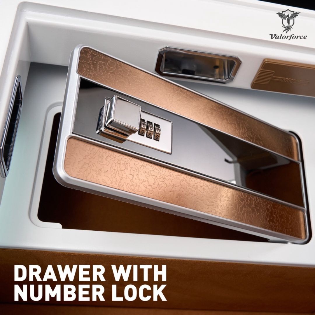 VR Baron Safe – camphor wood interior with compartments
VR Baron Safe – secure bolt lock mechanism