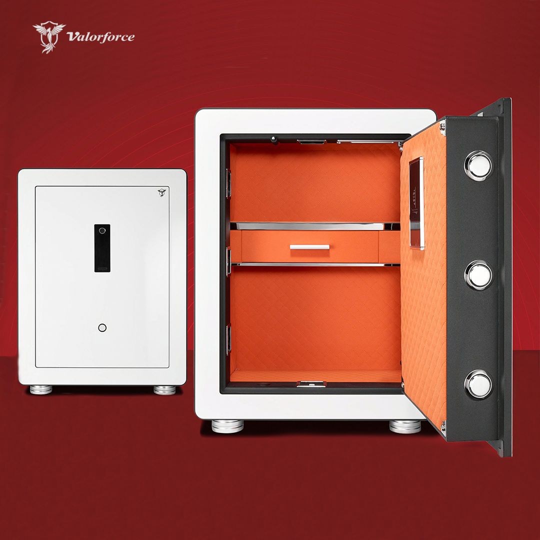 5-bolt locking safe
fingerprint PIN safe box
jewellery safe with drawer
luxury white safe for home
document safe for office
biometric safe with alarm
wall-mount ready safe