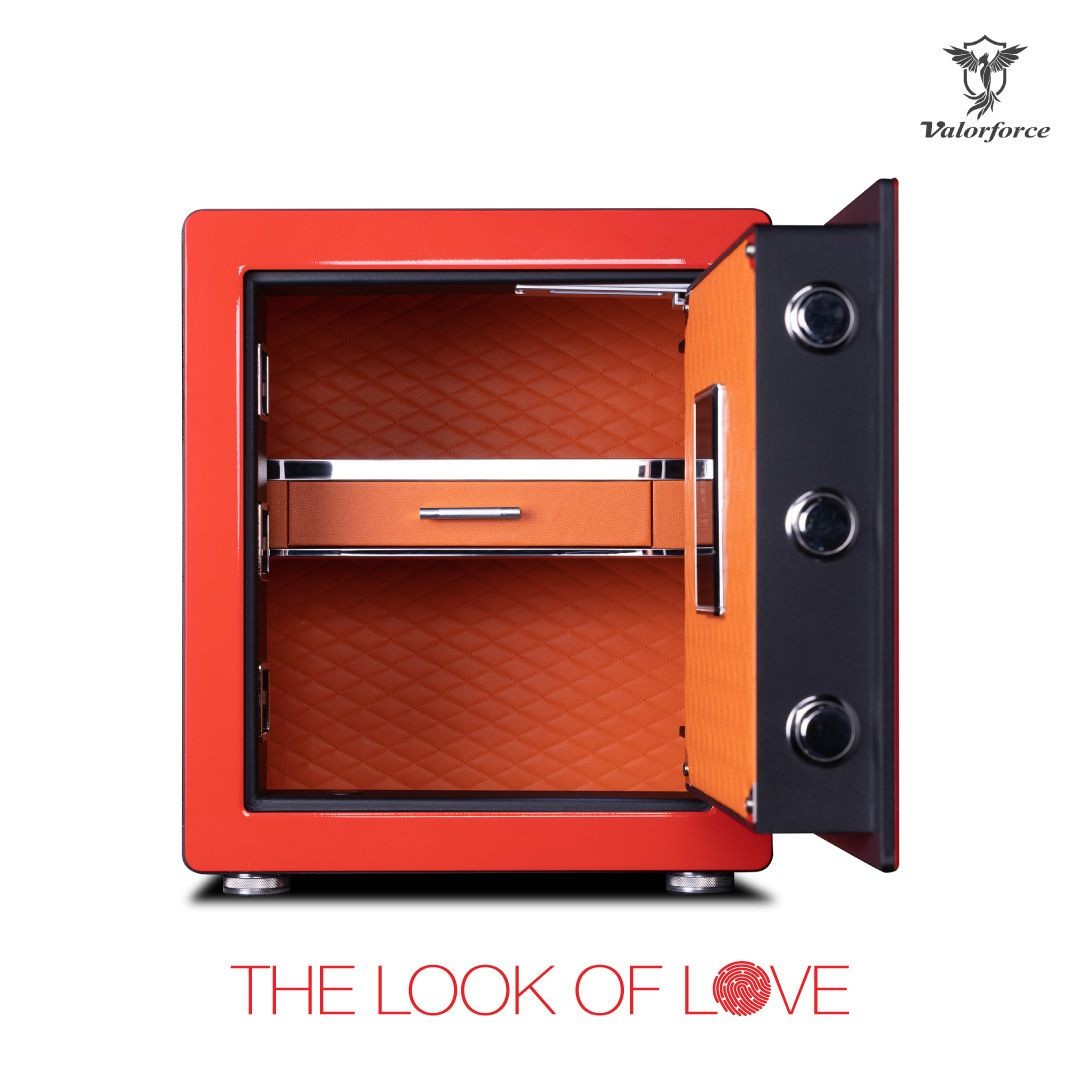 triple bolt safe box
biometric jewellery safe
fingerprint and PIN safe
luxury home safe with drawer
alarm safe for documents