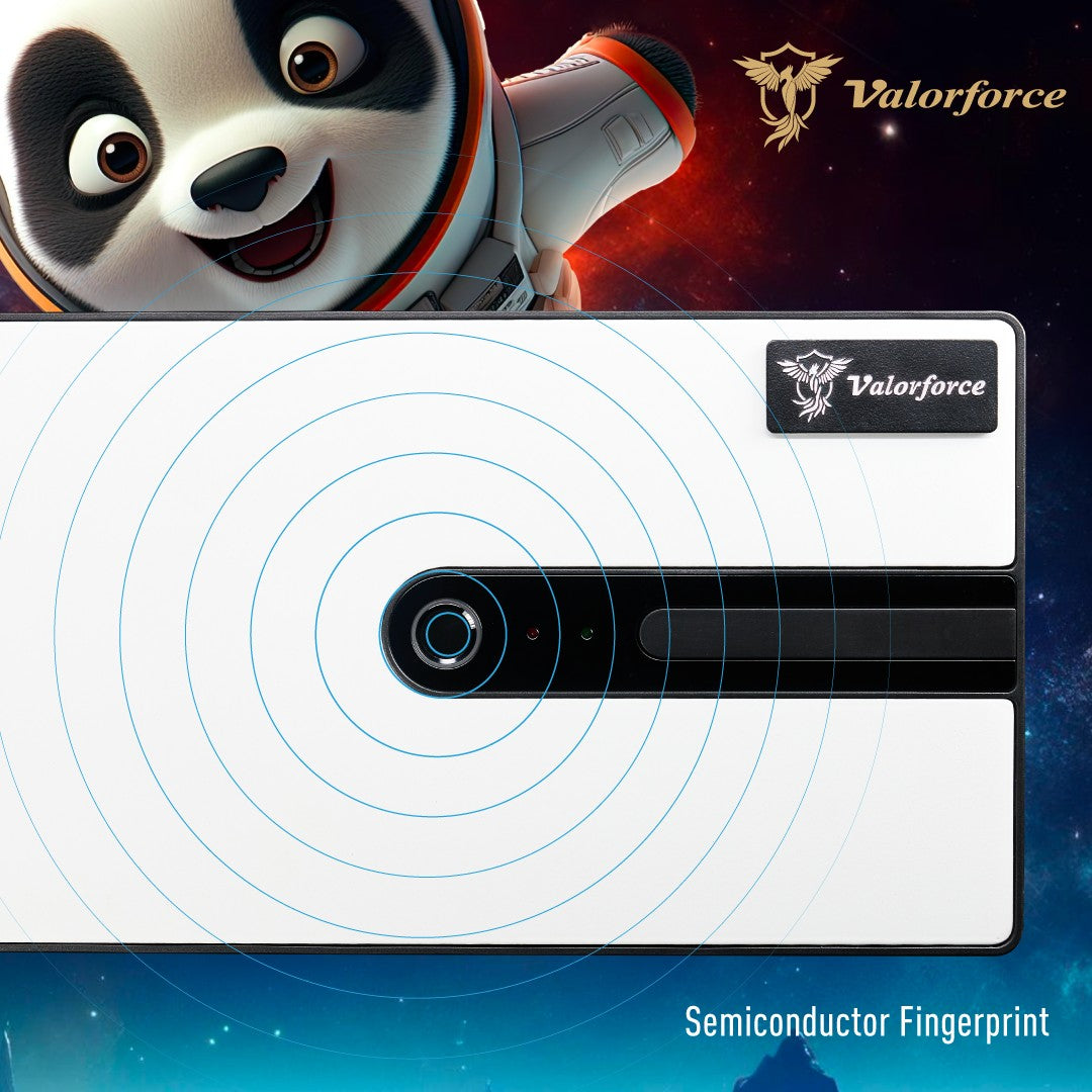 R Series R18 Panda
