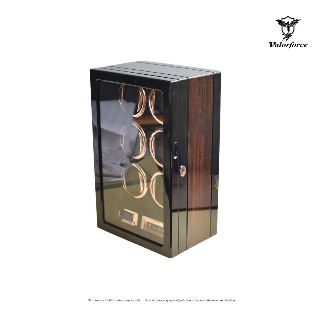 Digital Winder Series DW6