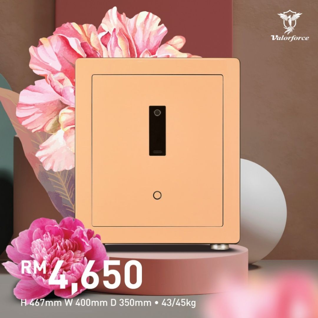 Valorforce V12 Light Peach

biometric safe Malaysia